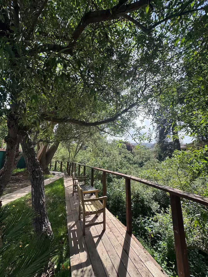 Private wooden boardwalk with a bench overlooking San Pedro Creek and surrounding trees
