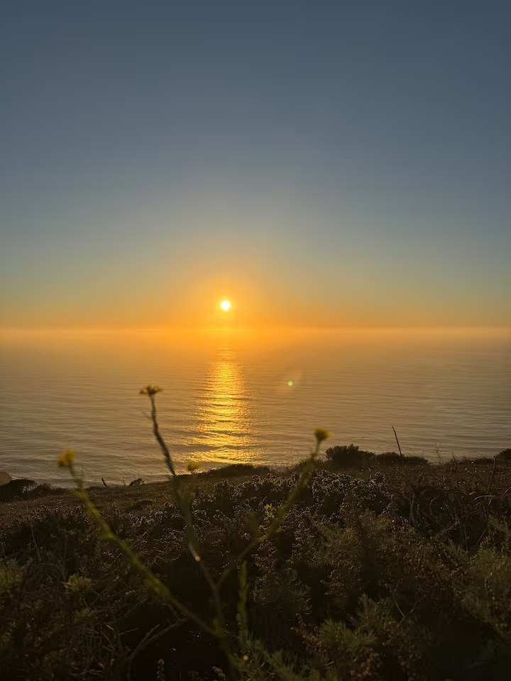 Sun setting over the Pacific Ocean with wild coastal grasses in the foreground